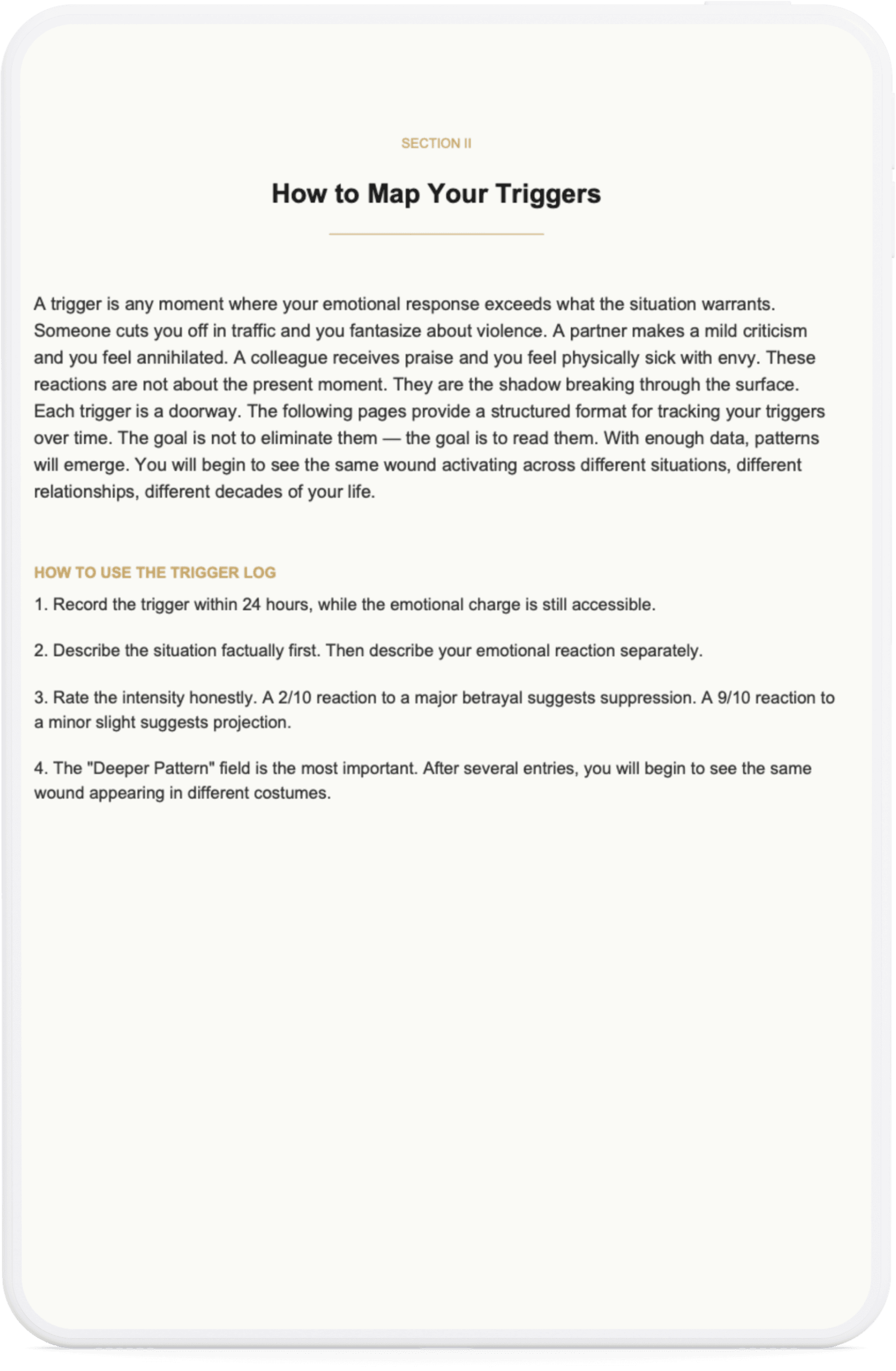 The Shadow Work Field Journal - 2