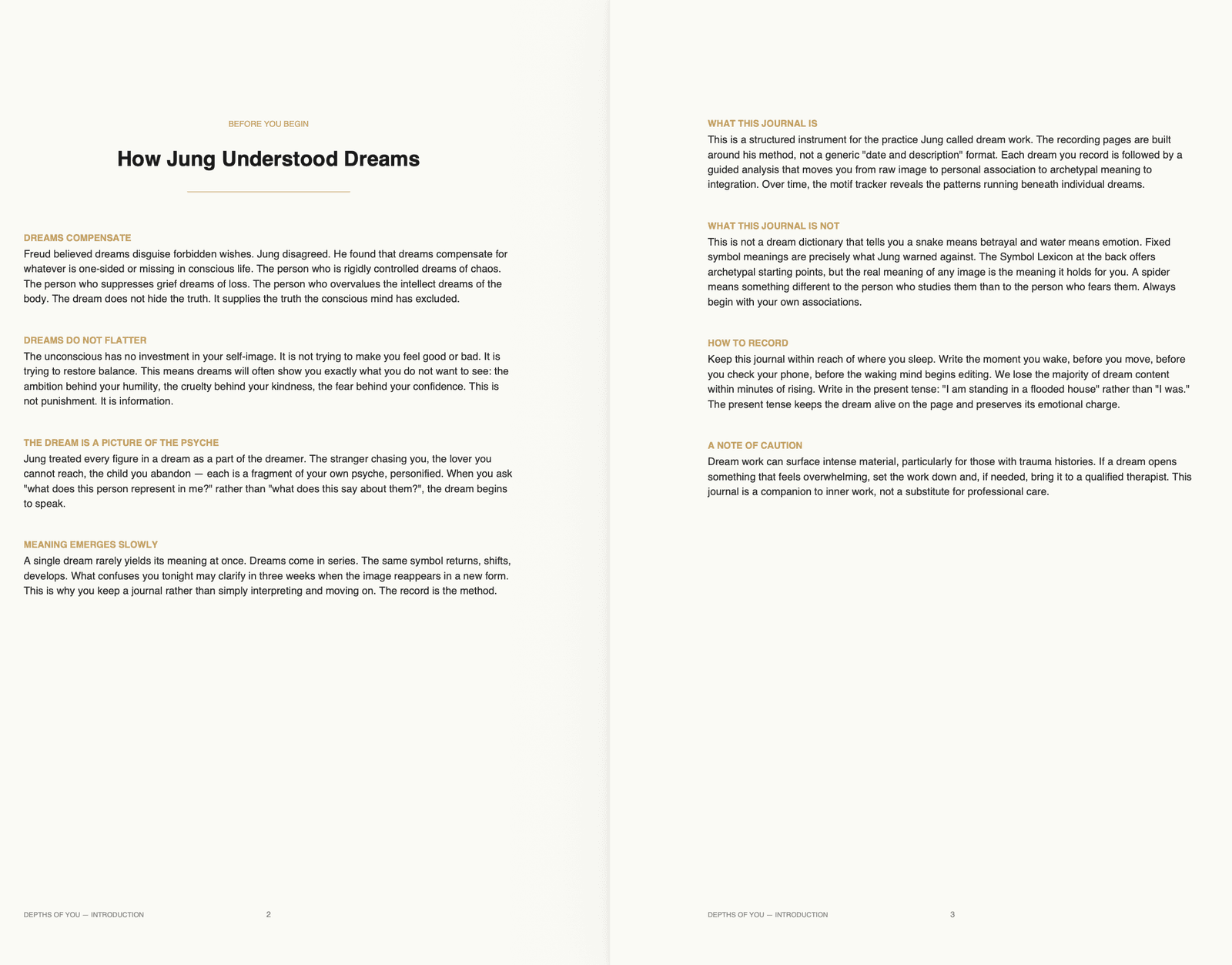 Dream Analysis Journal - 5